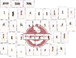 Scientific lot no. 12CC Formicidae (49 pcs)