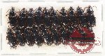 Scientific lot no. 791 Carabidae (20 pcs)