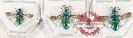 Scientific lot no. 30 Chrysididae (3 pcs)
