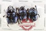 Scientific lot no. 996 Coprophaga (Proagoderus sp.) (3pcs A2)