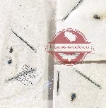 Scientific lot no. 1019 Curculionidae (Apion spp.) (4 pcs)