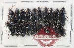 Scientific lot no. 1046 Carabidae (20 pcs)