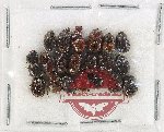 Scientific lot no. 1171 Coprophaga (20 pcs)