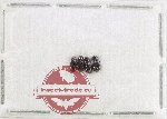 Scientific lot no. 1163 Coprophaga (4 pcs)