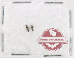 Scientific lot no. 302 Staphylinidae (2 pcs)
