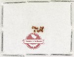 Hydrophilidae Scientific lot no. 426 (9 pcs)